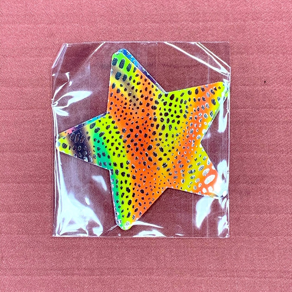 Pasties: Star Design ⭐️